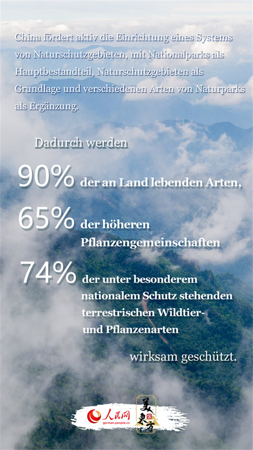 Der blaue Himmel, das grüne Land und das klare Wasser zeichnen ein neues Bild vom schönen China