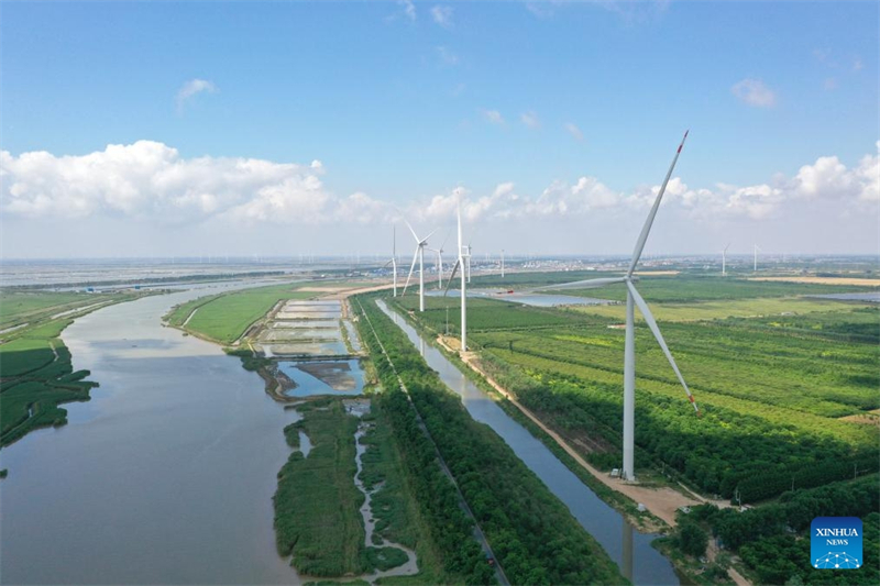 Industrie neuer Energie wird zum Schlüsselsektor in Yancheng