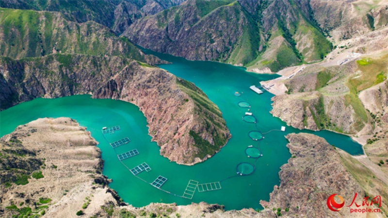 Florierende Entwicklung der Lachsindustrie in Xinjiang