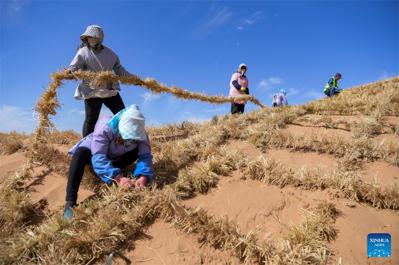 Innovative Werkzeuge und Technologien haben in Nordwestchina zur Kontrolle und Aufforstung der Sandwüste beigetragen