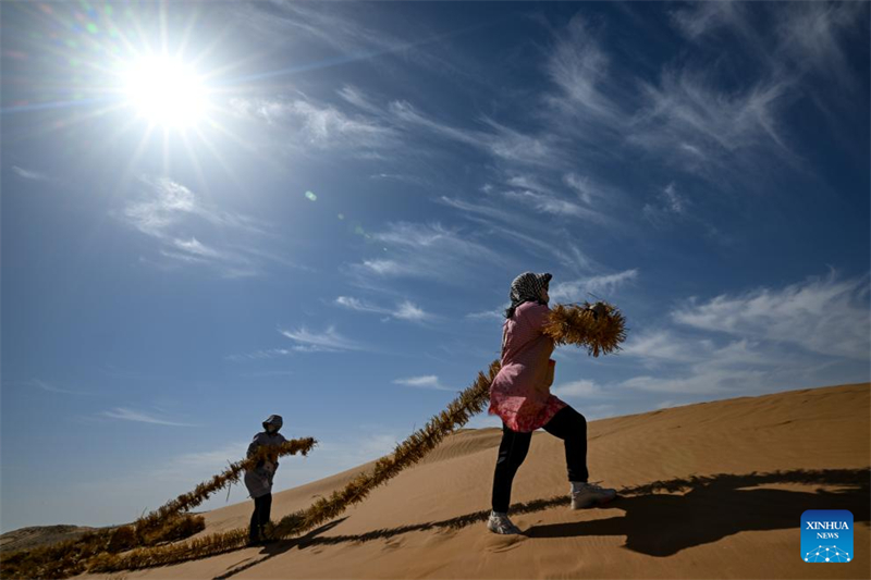 Innovative Werkzeuge und Technologien haben in Nordwestchina zur Kontrolle und Aufforstung der Sandwüste beigetragen