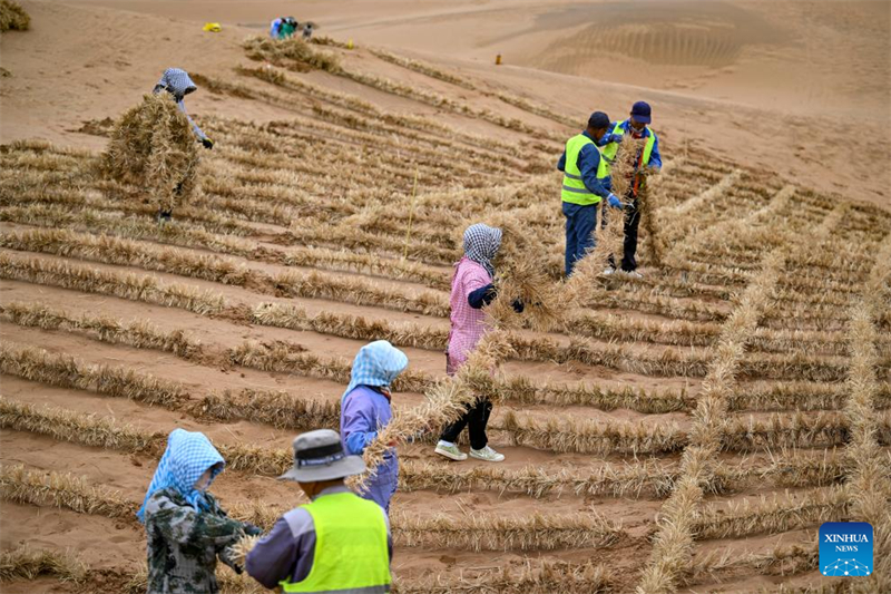 Innovative Werkzeuge und Technologien haben in Nordwestchina zur Kontrolle und Aufforstung der Sandwüste beigetragen