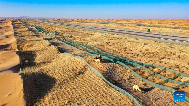 Innovative Werkzeuge und Technologien haben in Nordwestchina zur Kontrolle und Aufforstung der Sandwüste beigetragen