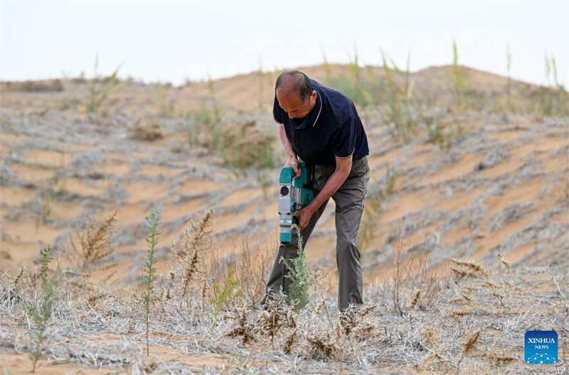 Innovative Werkzeuge und Technologien haben in Nordwestchina zur Kontrolle und Aufforstung der Sandwüste beigetragen