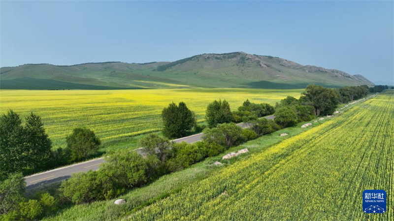 Die schönen Sommerlandschaften in Ergun