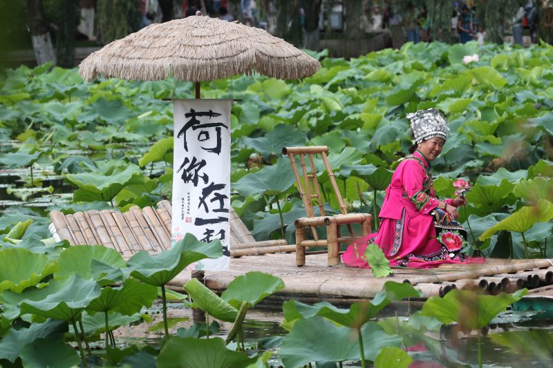 Kunming: 12. Lotusblumenausstellung im Cuihu-Park eröffnet