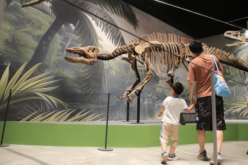 Ein Spaziergang durch den „Jurassic Park“ - Über 500 wertvolle Fossilien in Beijing ausgestellt