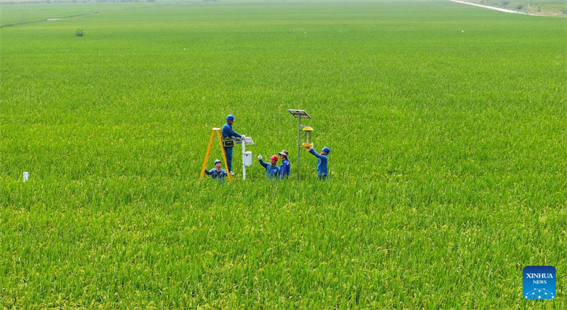 Ostchina setzt intelligente Technologien in der Landwirtschaft ein