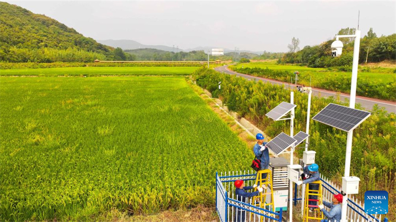 Ostchina setzt intelligente Technologien in der Landwirtschaft ein