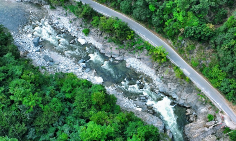 Ökologisch grüne Landschaft im experimentellen Forst Houzhenzi