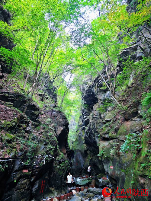 Ökologisch grüne Landschaft im experimentellen Forst Houzhenzi