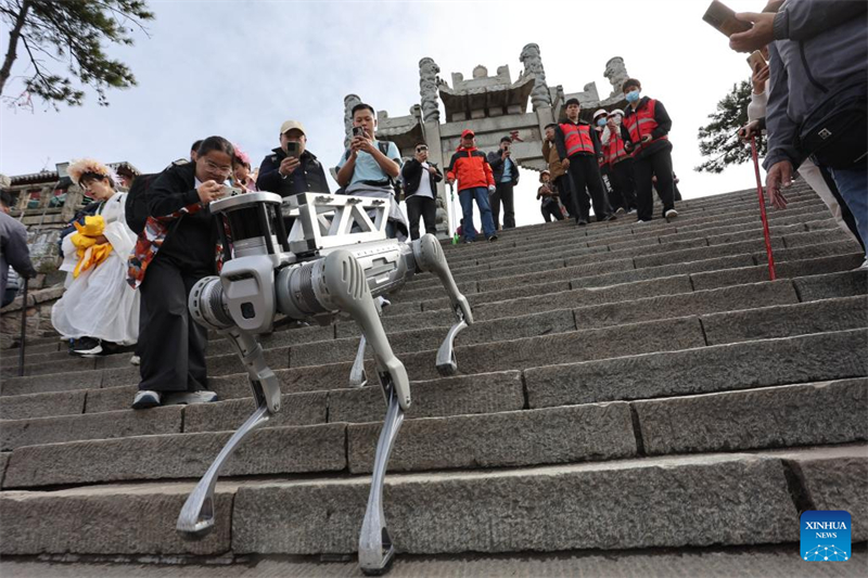 Roboterhund absolviert Testlauf für Schwerlasttransporte