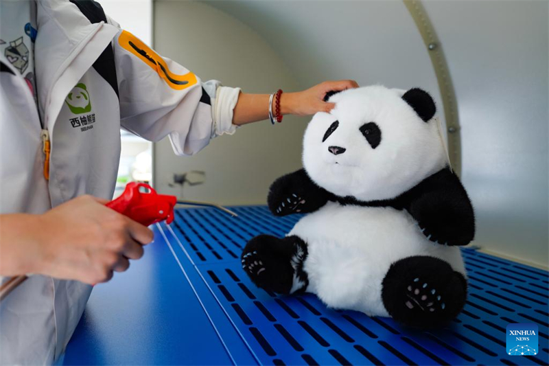 Chinas innovatives Panda-Spielzeug findet weltweit Anklang