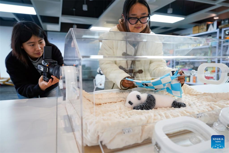 Chinas innovatives Panda-Spielzeug findet weltweit Anklang