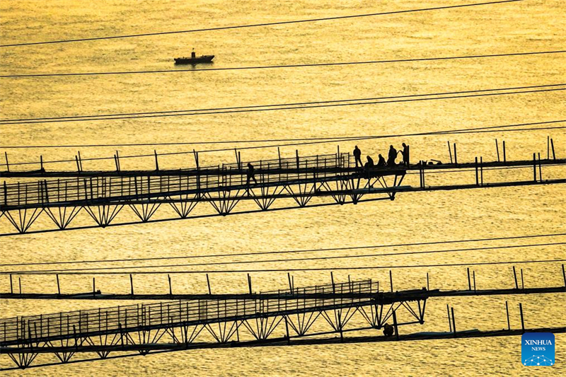 Yanji-Brücke am Jangtse nimmt Gestalt an