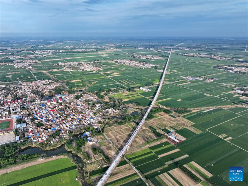 Die Trägermontage im Abschnitt Hebei der Hochgeschwindigkeitsstrecke Xiong’an–Shangqiu ist vollständig abgeschlossen