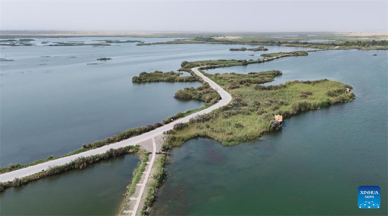 Feuchtgebiete im chinesischen Xinjiang dienen als wichtige ökologische Rückzugsorte