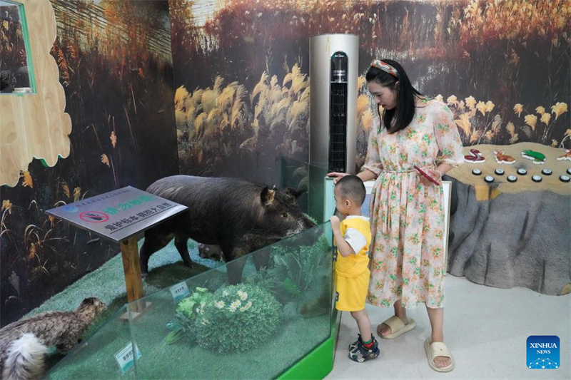 Feuchtgebiete im chinesischen Xinjiang dienen als wichtige ökologische Rückzugsorte