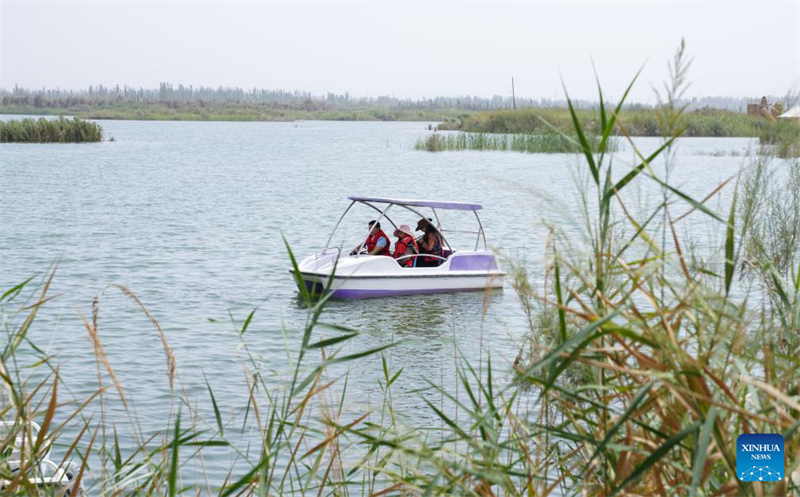 Feuchtgebiete im chinesischen Xinjiang dienen als wichtige ökologische Rückzugsorte