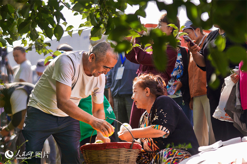 Erntezeit – was für eine Freude!