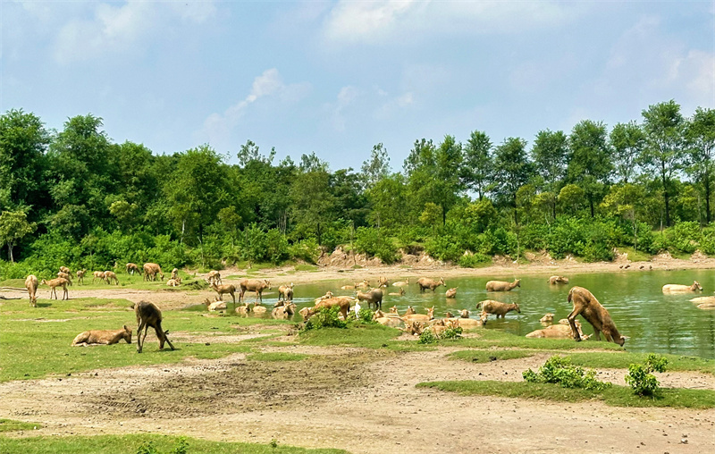 World Coastal Forum 2025 in Yancheng eröffnet