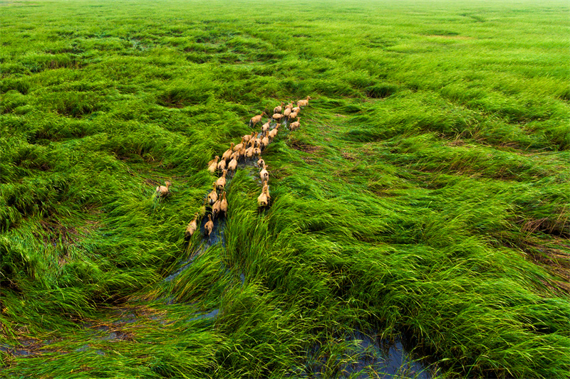 World Coastal Forum 2025 in Yancheng eröffnet