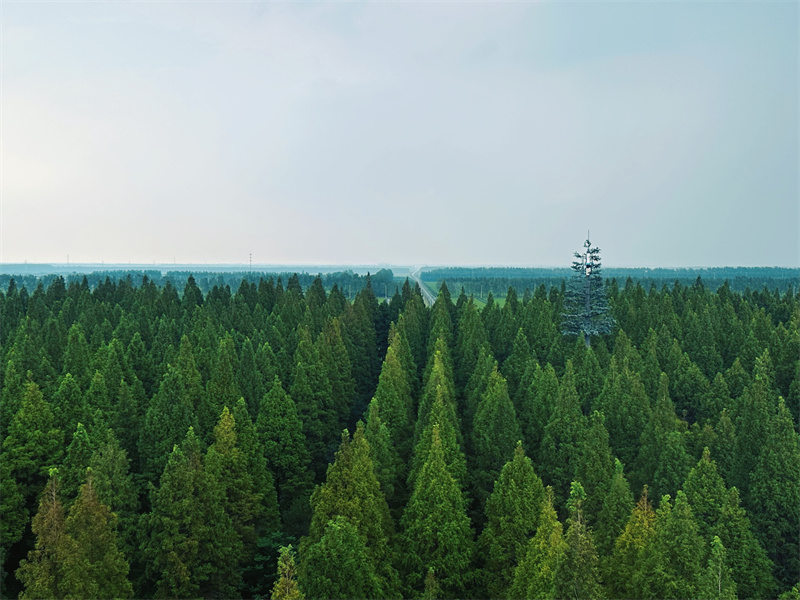 World Coastal Forum 2025 in Yancheng eröffnet