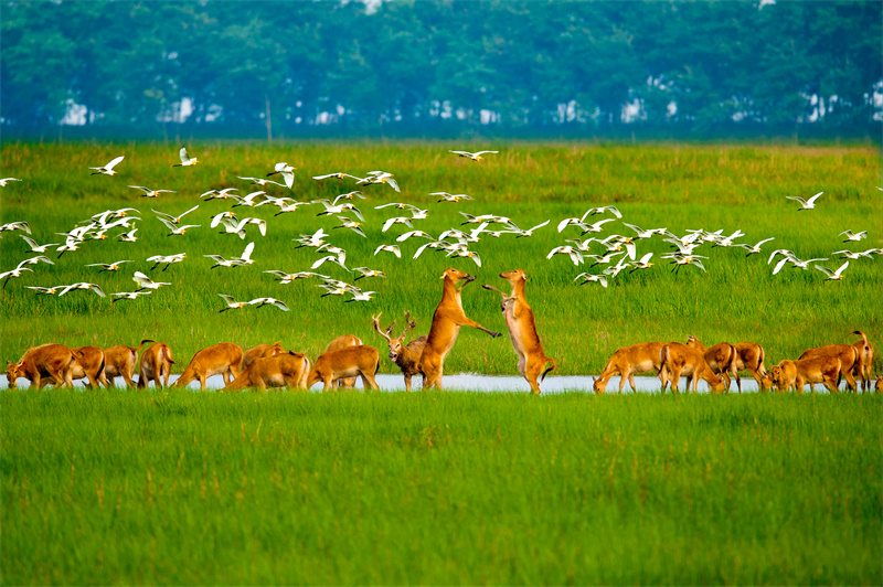 World Coastal Forum 2025 in Yancheng eröffnet