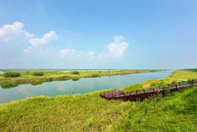 World Coastal Forum 2025 in Yancheng eröffnet