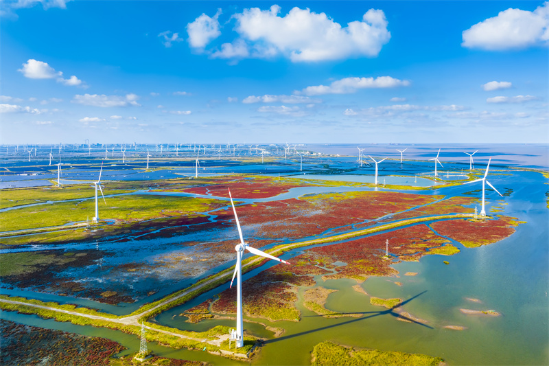 World Coastal Forum 2025 in Yancheng eröffnet