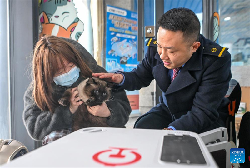 Chongqing startet Pilotprojekt für Haustier-Transport auf Hochgeschwindigkeitsbahnen