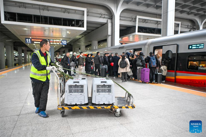 Chongqing startet Pilotprojekt für Haustier-Transport auf Hochgeschwindigkeitsbahnen