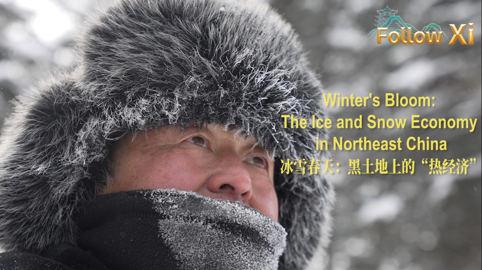 Die Schönheit des Winters: Eine florierende „heiße Wirtschaft“ auf schwarzem Boden