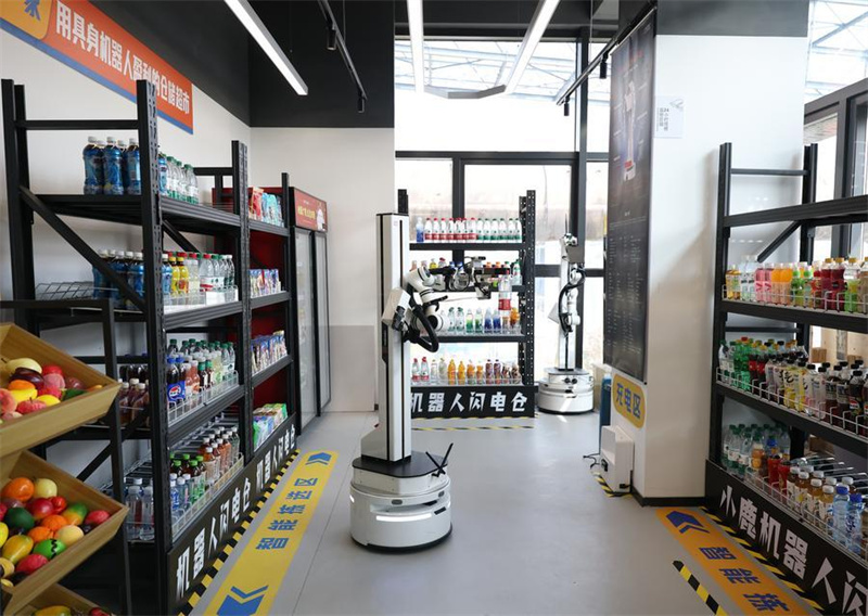 Roboterschulen fördern intelligentes Training humanoider Roboter