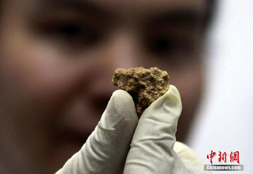 Ältester Käse der Welt in Xinjiang entdeckt