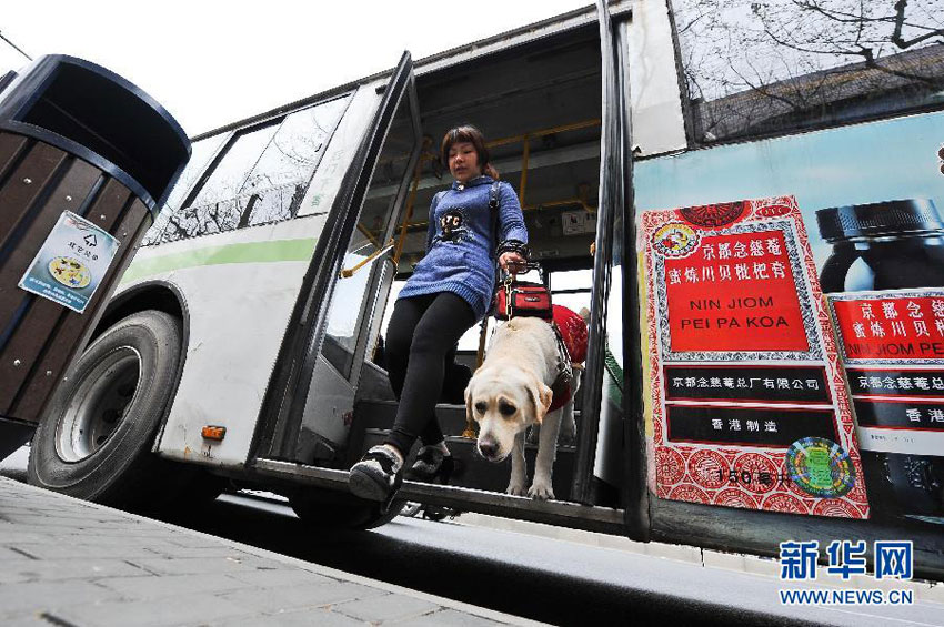 Blindenhunde im Shanghaier ÖV erlaubt