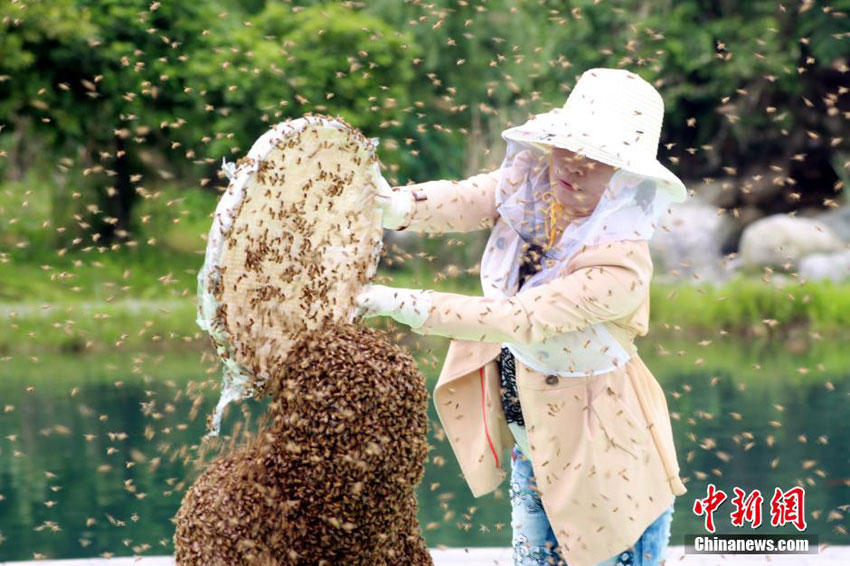 Bienenzüchter aus Jiangxi bricht Weltrekord