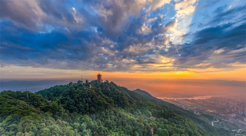 Ökologischer Wandel des Naturschutzgebiets Jinyun-Berg in Chongqing