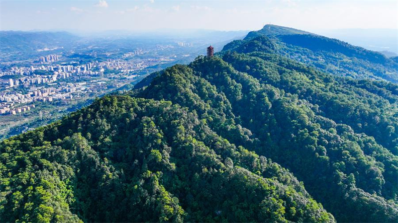 Ökologischer Wandel des Naturschutzgebiets Jinyun-Berg in Chongqing
